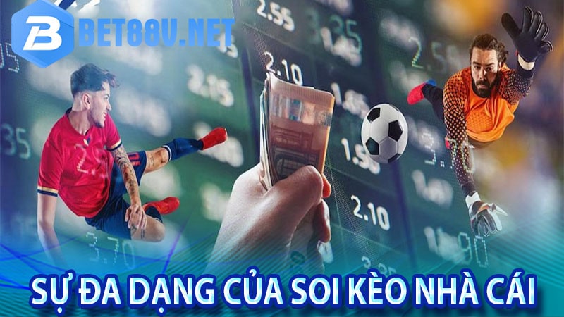 Khám phá sự đa dạng của việc soi kèo nhà cái
