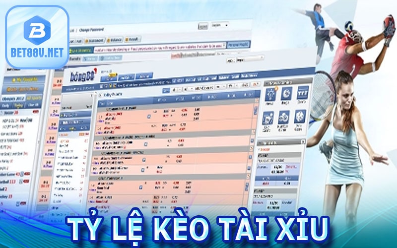 Tỷ lệ kèo tài xỉu chuẩn xác nhất