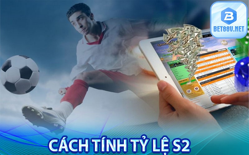Cách tính tỷ lệ s2